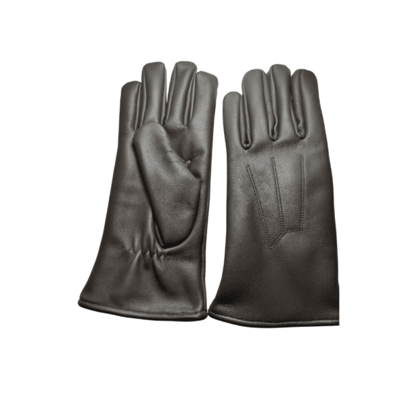 DexRide Pro (High-performance motorbike gloves) - Image 11